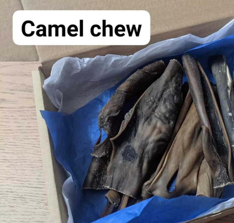 Camel Skin chews