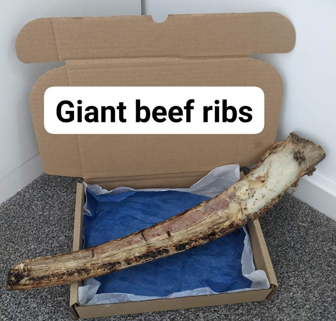 Giant Beef Rib