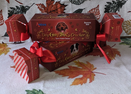 Antos Turkey Dog Christmas Cracker